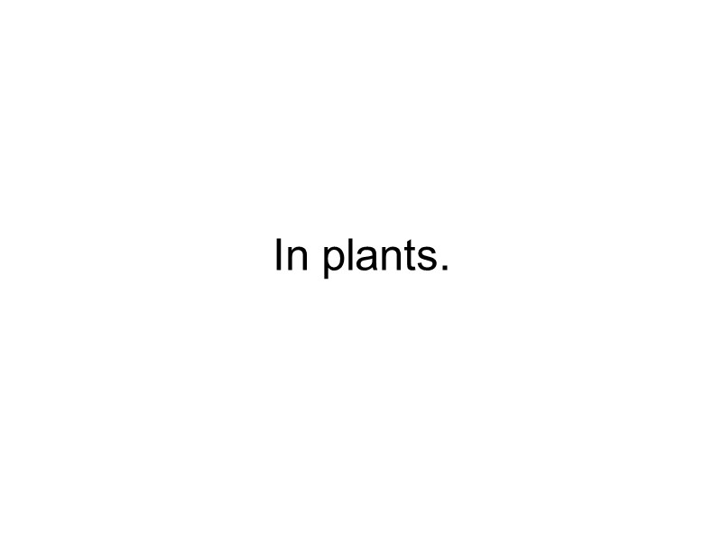 In plants.